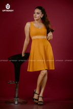 EMBROIDERED WAIST FIT & FLARE DRESS
